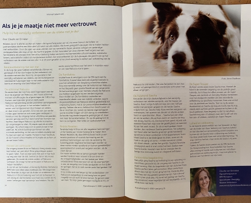 De relatie met je dier verbeteren, ga in relatietherapie met je paard, de relatie met je hond verbeteren